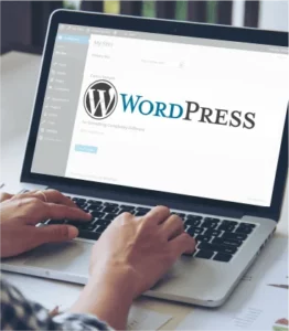Read more about the article 11 reasons why WordPress is a top-quality web development platform