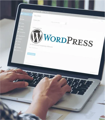 You are currently viewing 11 reasons why WordPress is a top-quality web development platform