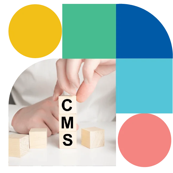 while-choosing-CMS-banner-img