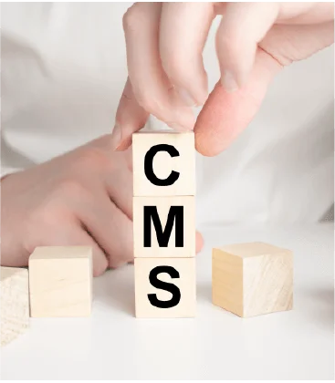 while-choosing-CMS-feature-img