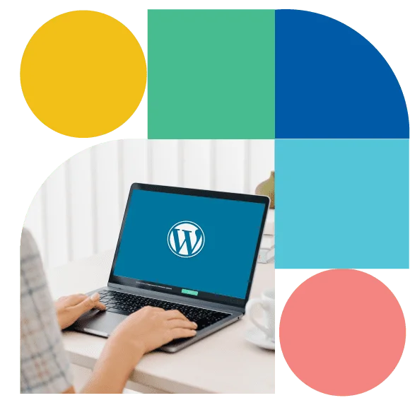 WordPress-site-and-their-solutions-banner-img