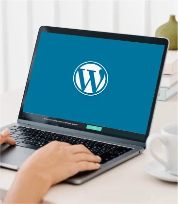 WordPress-site-and-their-solutions-feture-img