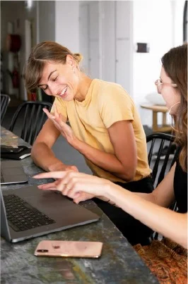 Web development