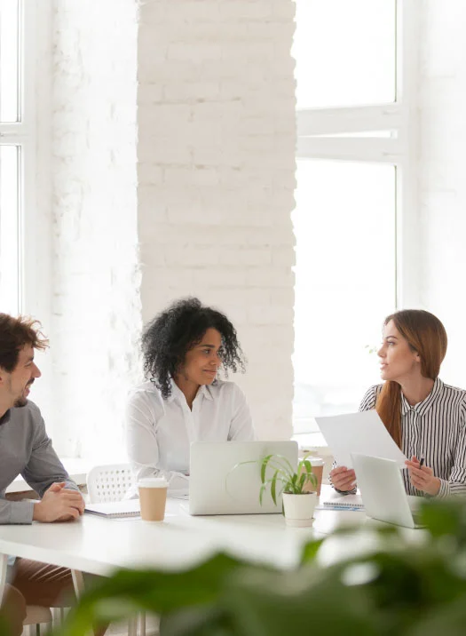 Expert-in-requirement-analysis