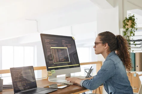 IT-Project-Management