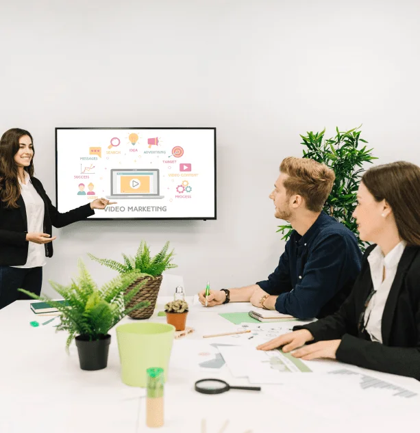 Video-Advertising-Campaigns